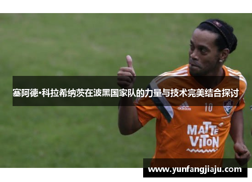 塞阿德·科拉希纳茨在波黑国家队的力量与技术完美结合探讨