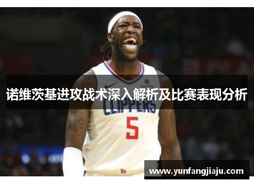 诺维茨基进攻战术深入解析及比赛表现分析