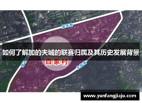 如何了解加的夫城的联赛归属及其历史发展背景