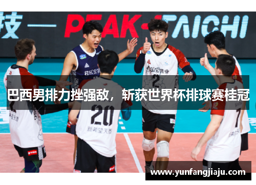 巴西男排力挫强敌，斩获世界杯排球赛桂冠