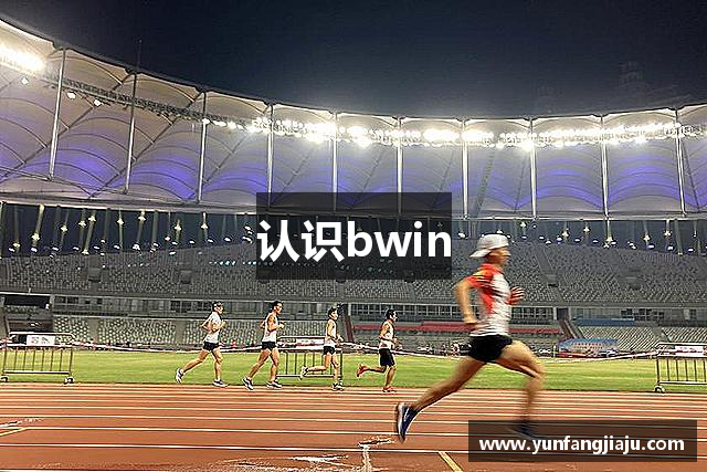认识bwin